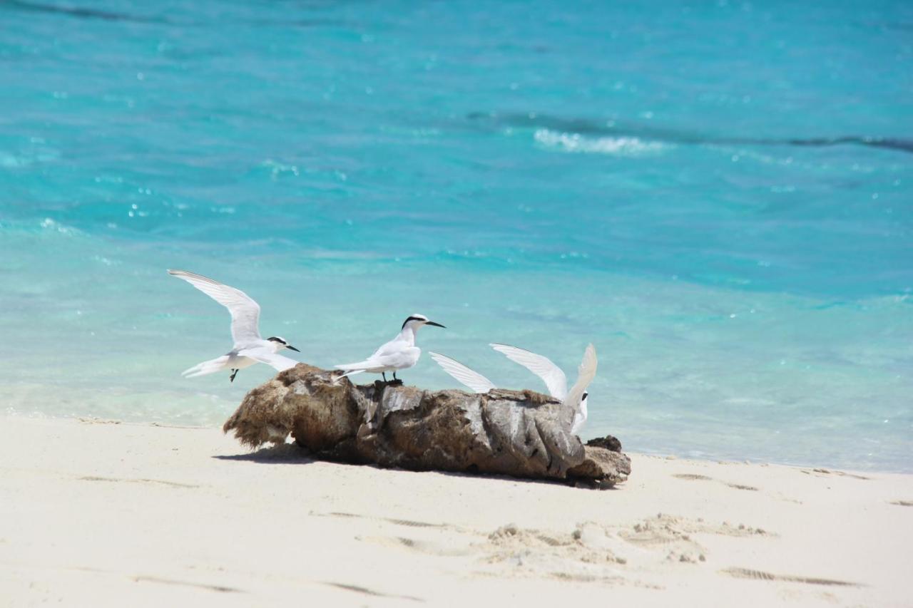 Brickwood Rasdhoo- Beach Front Екстериор снимка